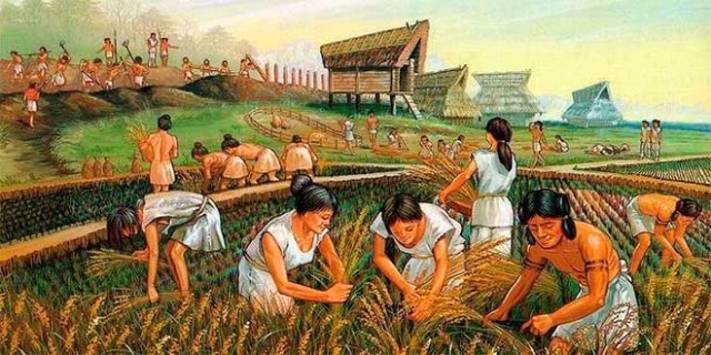neolitico-agricultura.jpg